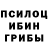 Псилоцибиновые грибы Cubensis Gromen 46