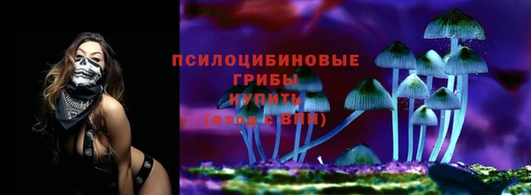 СК Алексеевка