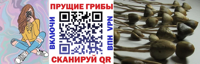 Псилоцибиновые грибы MAGIC MUSHROOMS Полярные Зори